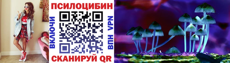 Псилоцибиновые грибы мухоморы  магазин    Южно-Сахалинск 
